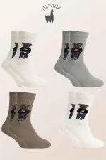 Chaussettes d'hiver épaisses en laine d'alpaga pour femme, motif ours en peluche, lot de 4