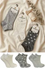 Chaussettes courtes en coton pour femmes, colorées, lot de 3