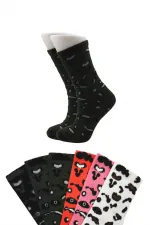 Chaussettes de tennis colorées pour femmes, en coton, à motifs longs, lot de 6.
