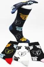 Chaussettes unisexes en coton à motif chien, lot de 4