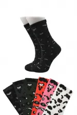 Chaussettes de tennis colorées pour femmes, en coton, à motifs longs, lot de 6.