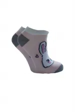 Chaussettes courtes multicolores en coton pour femmes, lot de 4