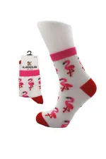 Chaussettes en coton à demi-revers colorées pour femmes, motif flamant rose, lot de 6