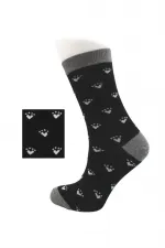 Chaussettes courtes en coton à motif chat coloré pour femme, lot de 2