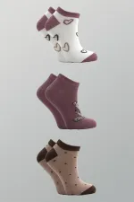 Kadın Pamuklu Patik Çorap Renkli 3'Lü Paket