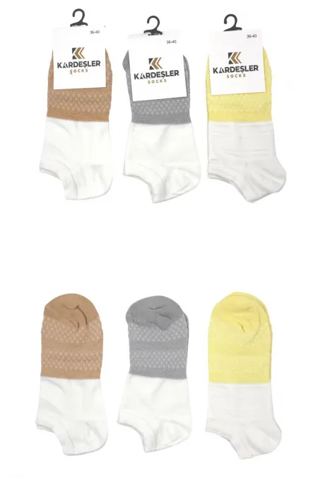 Chaussettes courtes colorées en coton pour femmes, lot de 6