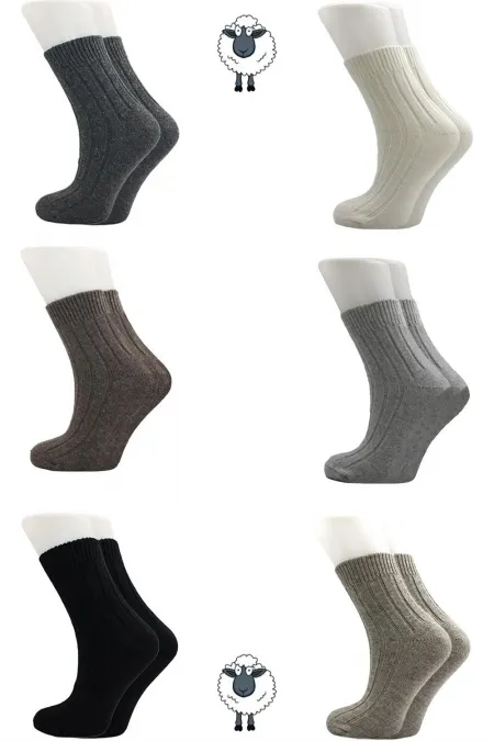 Chaussettes d'hiver multicolores en laine d'agneau pour femme, lot de 6