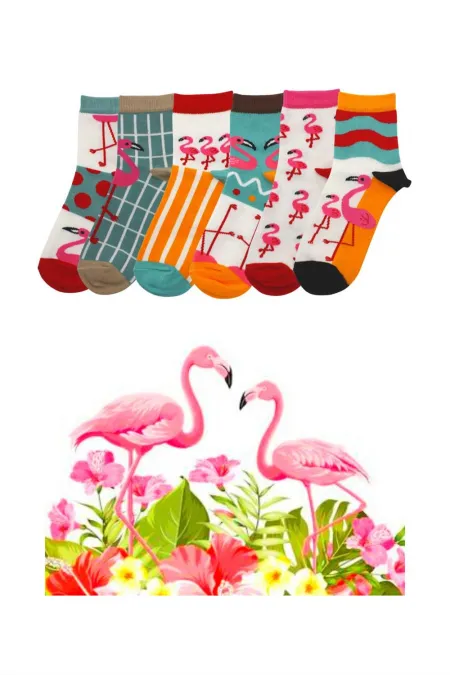 Chaussettes en coton à demi-revers colorées pour femmes, motif flamant rose, lot de 6