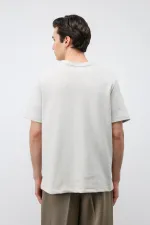 Antioch Buz Gri Regular Fit Basic Erkek T-Shirt