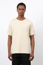 Antioch Taş Regular Fit Basic Erkek T-Shirt