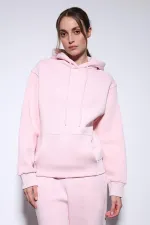 Antioch Pink Hooded Basic Women's Sweatshirt