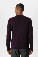Antioch Plum Crew Neck Slim Fit Knit Sweater