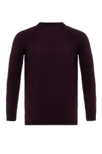 Antioch Plum Crew Neck Slim Fit Knit Sweater