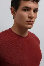 Antioch Açık Bordo Dokulu Erkek Kazak