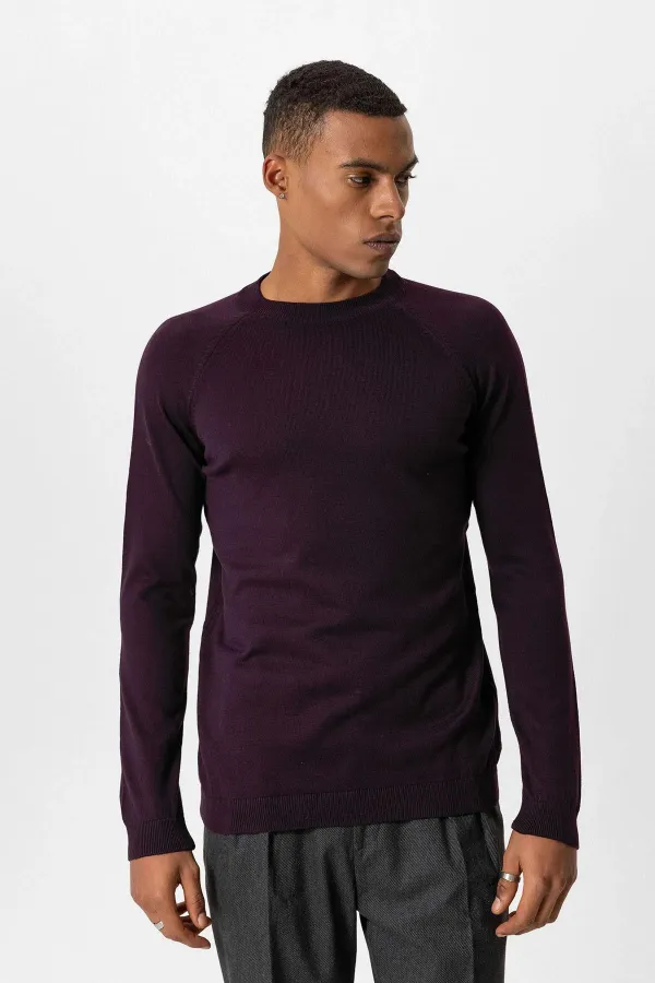 Antioch Plum Crew Neck Slim Fit Knit Sweater