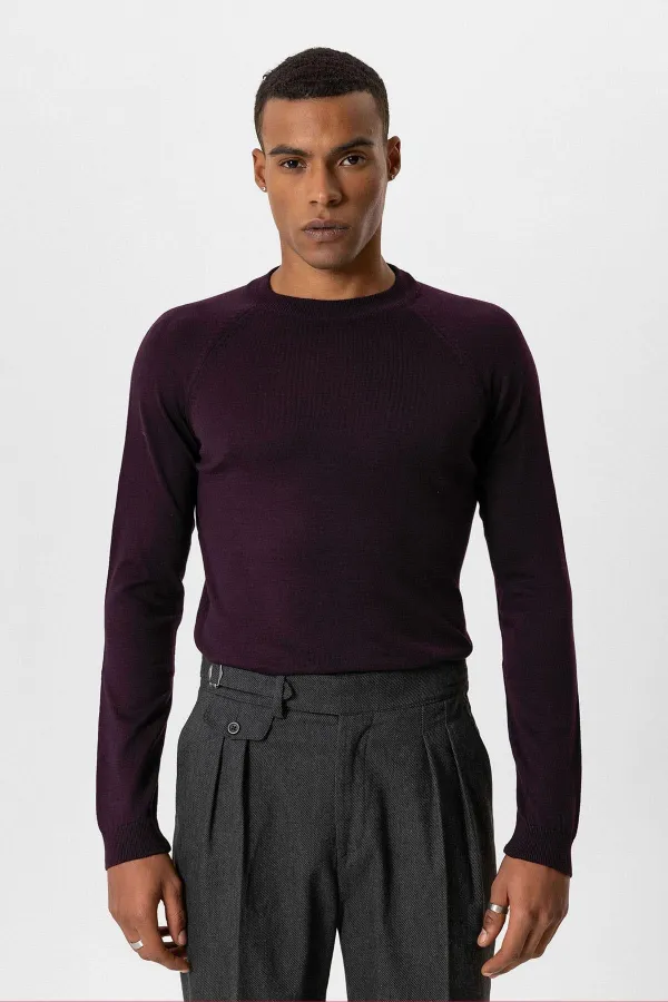 Antioch Plum Crew Neck Slim Fit Knit Sweater