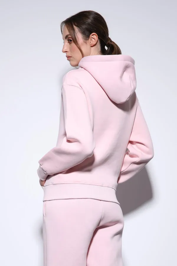 Antioch Pink Hooded Basic Women's Sweatshirt