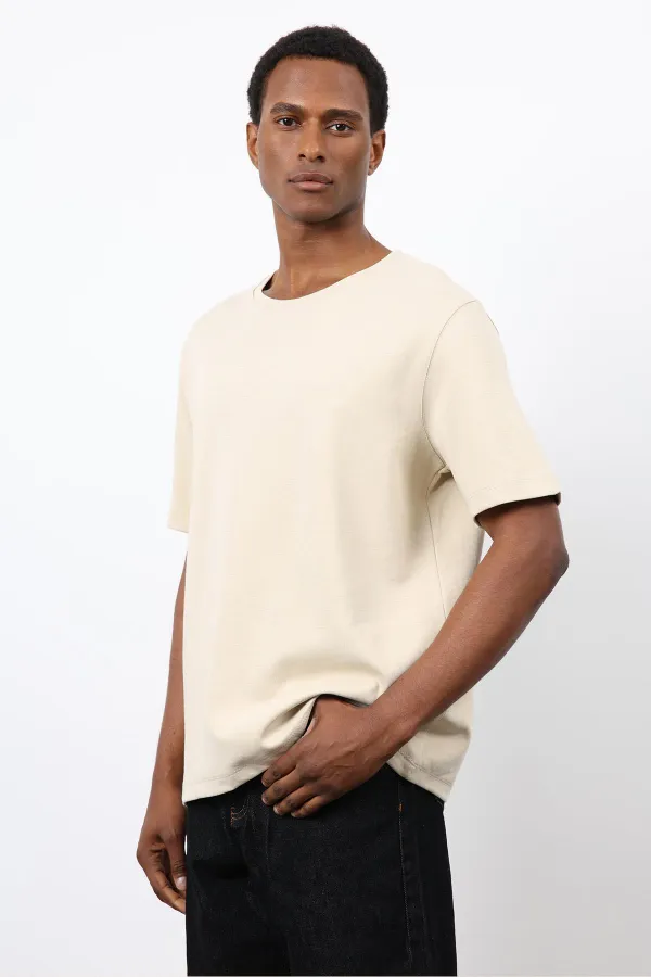 Antioch Taş Regular Fit Basic Erkek T-Shirt