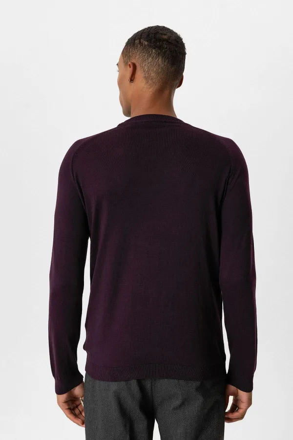 Antioch Plum Crew Neck Slim Fit Knit Sweater