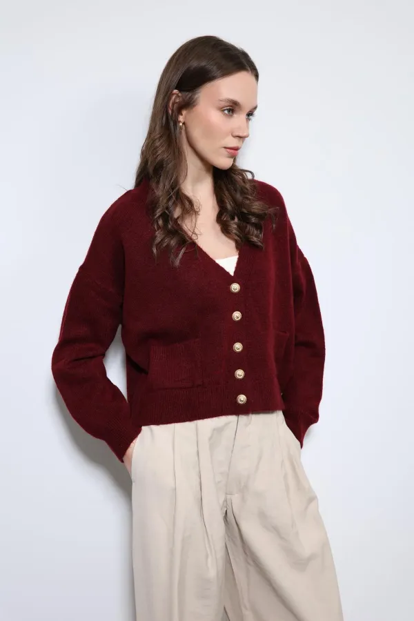 Gilet Antioch bordeaux en laine mélangée