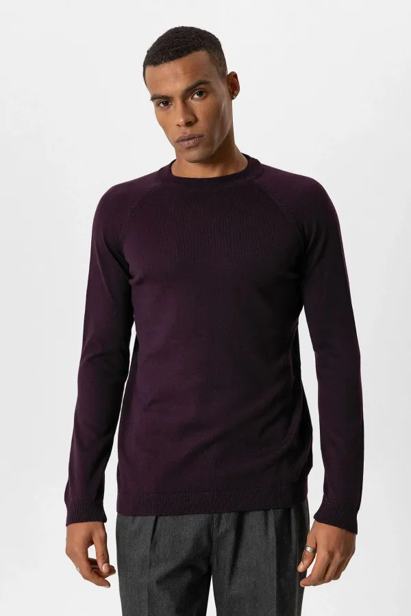 Antioch Plum Crew Neck Slim Fit Knit Sweater