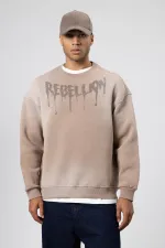 Washed Oversize Printed Sweatshirt, Mink