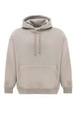 Basic Oversize Kapüşonlu Sweatshirt Açık Vızon