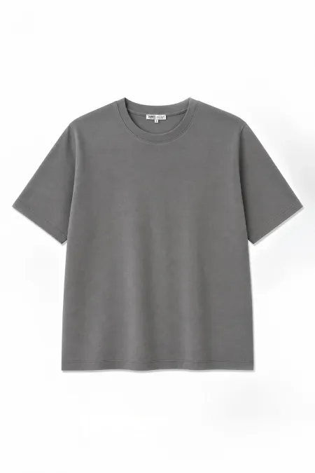 Basic Regular Fit Tişört Füme