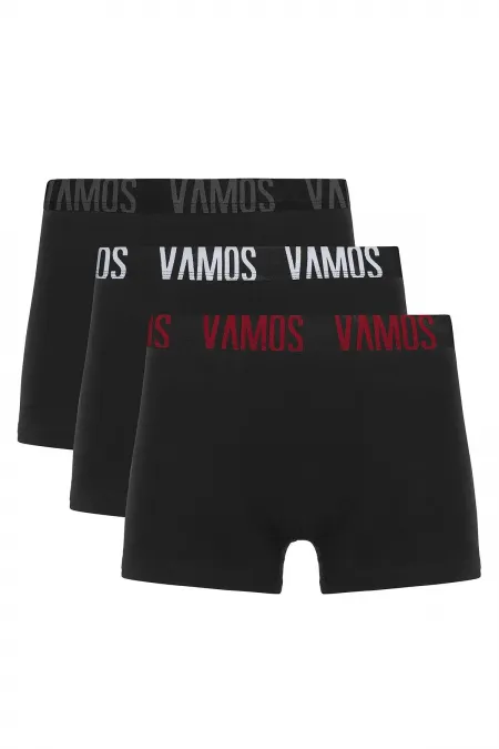 Lot de 3 boxers pour homme, modèle 2