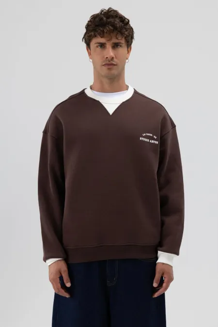 Oversize Crew Neck Printed Sweatshirt, Brown