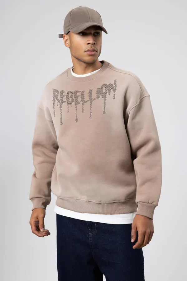Washed Oversize Printed Sweatshirt, Mink