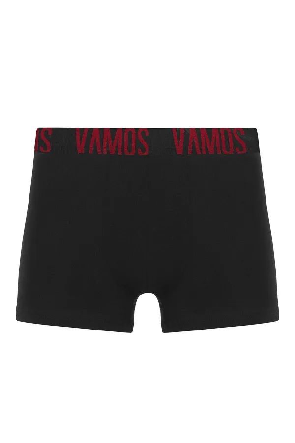 3 Lü Erkek Boxer Paketi Desen-2