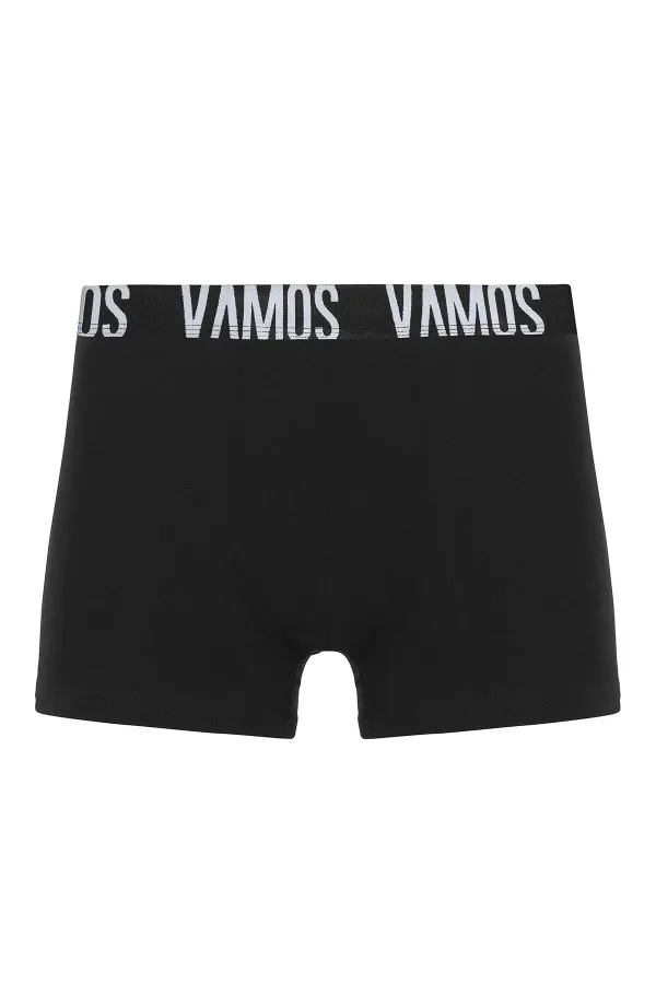 3 Lü Erkek Boxer Paketi Desen-2