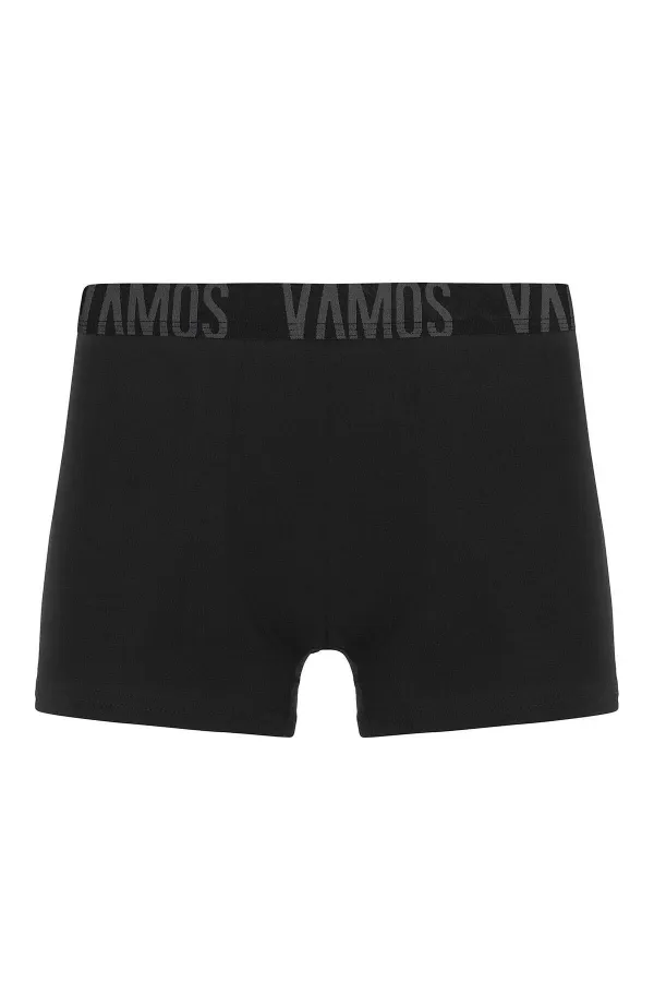 3 Lü Erkek Boxer Paketi Desen-2