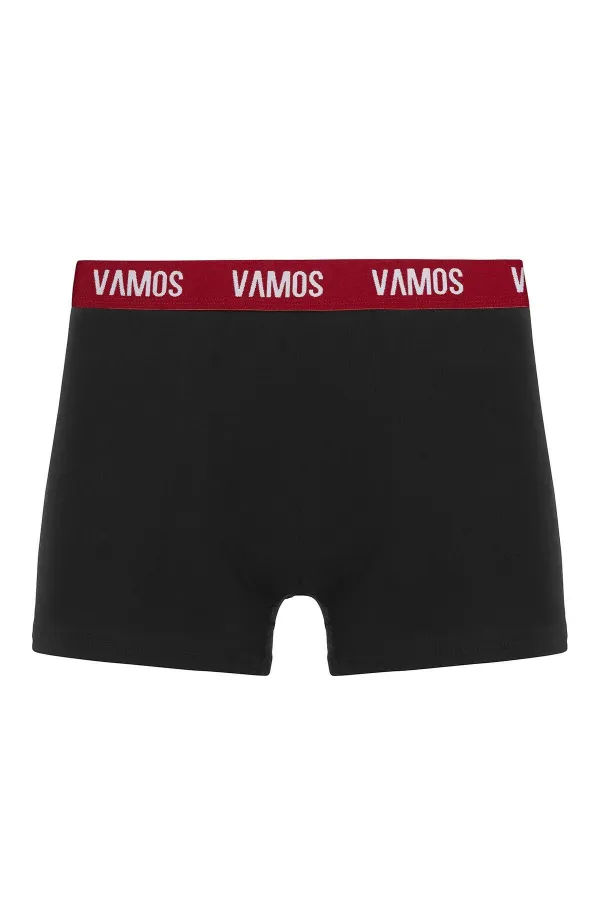 3 Lü Erkek Boxer Paketi Desen-5