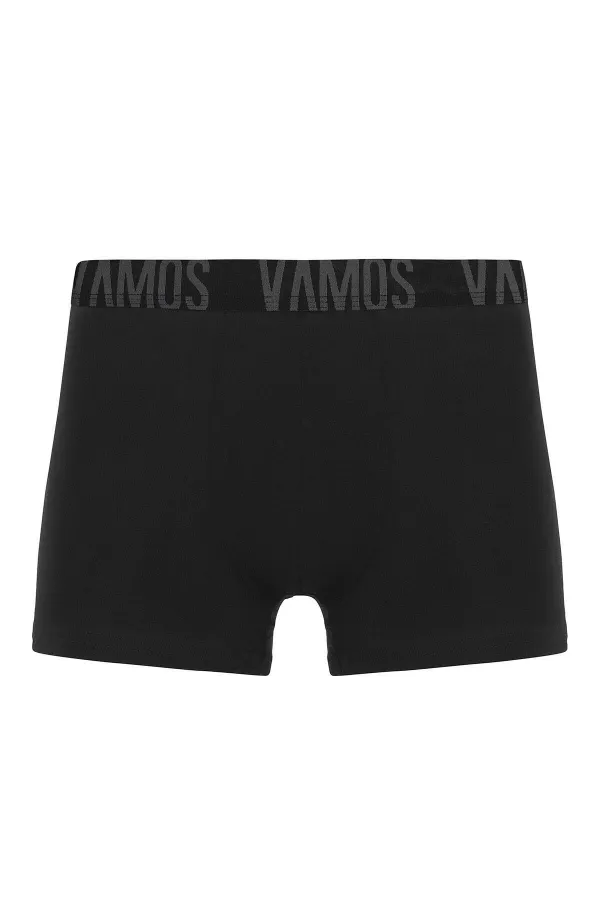 3 Lü Erkek Boxer Paketi Desen-2