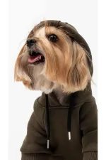 Köpek Hoodie - Haki