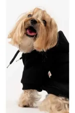 Köpek Hoodie - Siyah