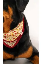 Écharpe pour chien - Authentique