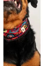 Köpek Fular - İkat