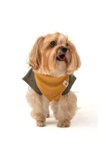 Écharpe pour chien - Moutarde