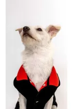 Köpek Polar Yelek / Siyah-Kırmızı