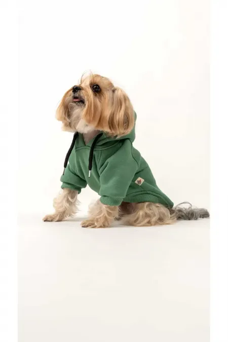 Sweat à capuche pour chien - Vert