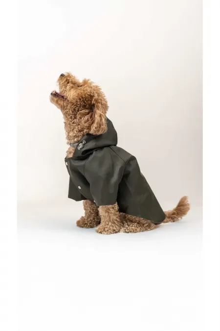 Imperméable pour chien - Kaki