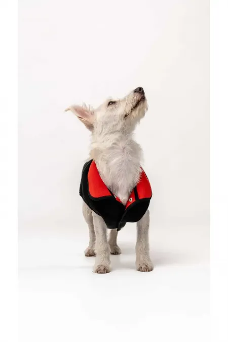 Gilet polaire pour chien / Noir et rouge