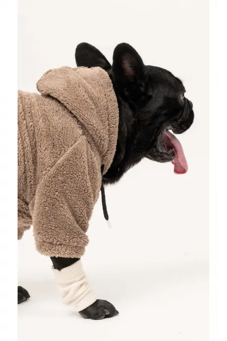 Chien Wellsoft - Marron