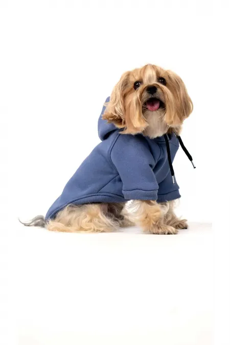 Sweat à capuche pour chien - Indigo