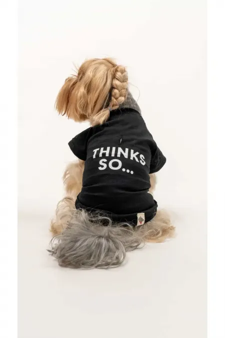 Pensez au chien en t-shirt