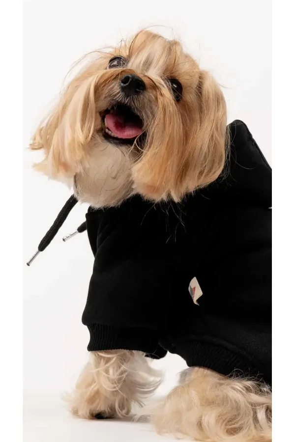 Köpek Hoodie - Siyah