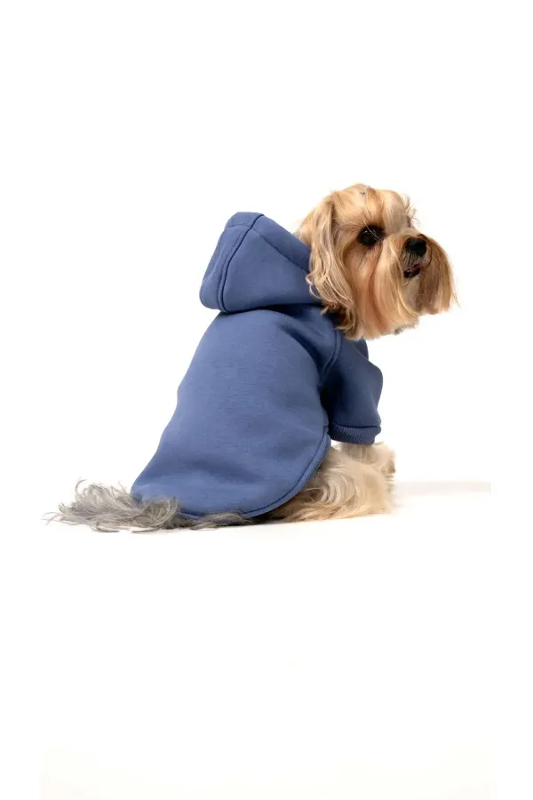Köpek Hoodie - İndigo